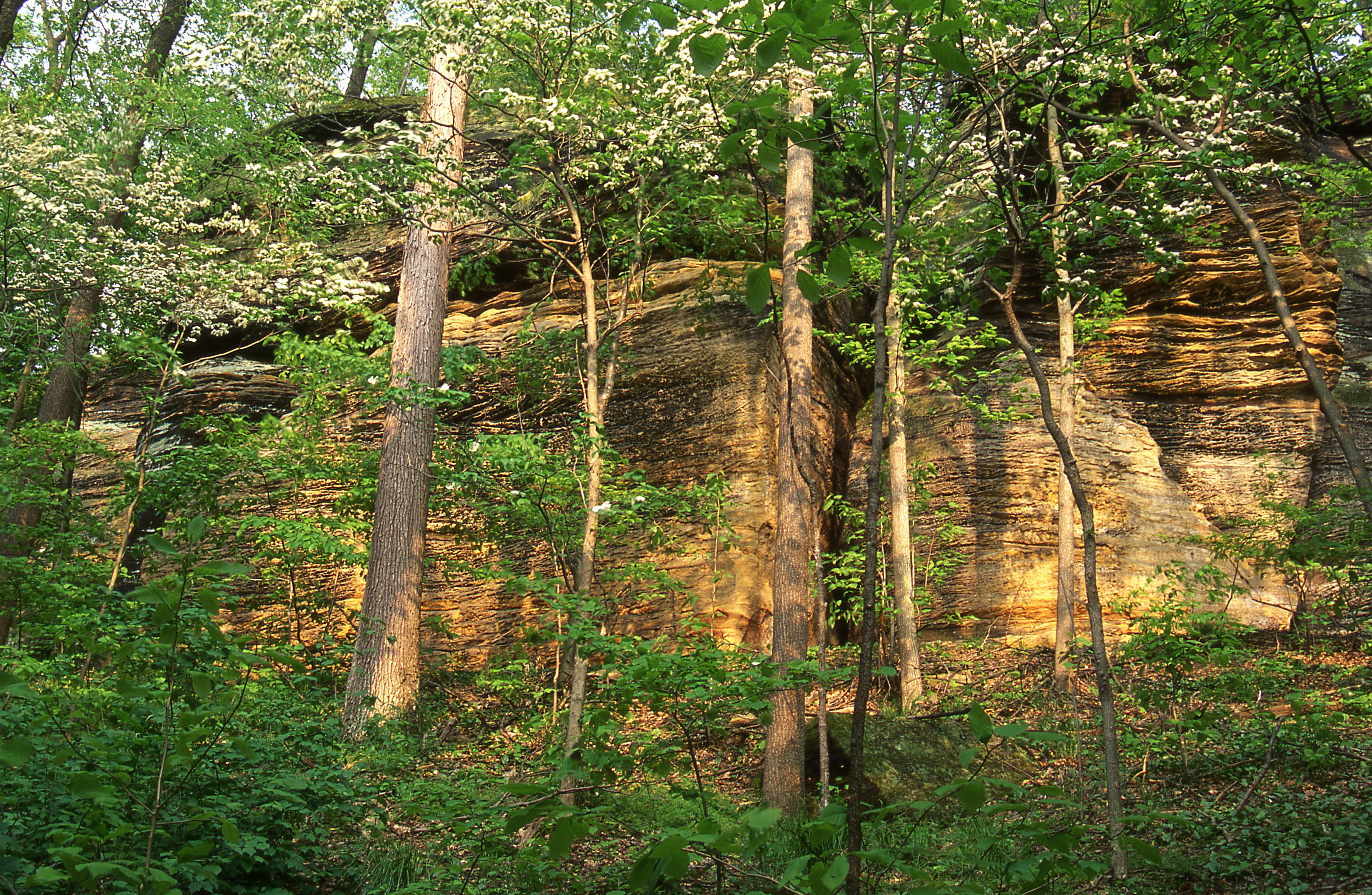 Cuyahoga Valley National Park: 10th Most Visited U.S. National