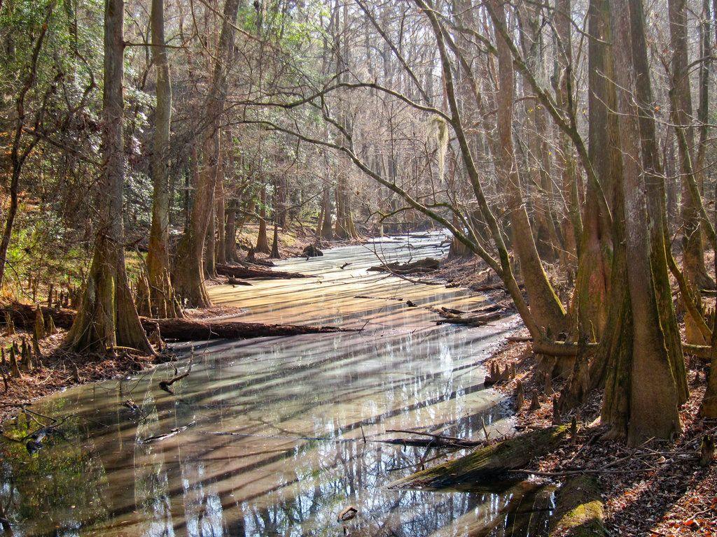 Great Sand Dunes National Park, Colorado. Congaree national park