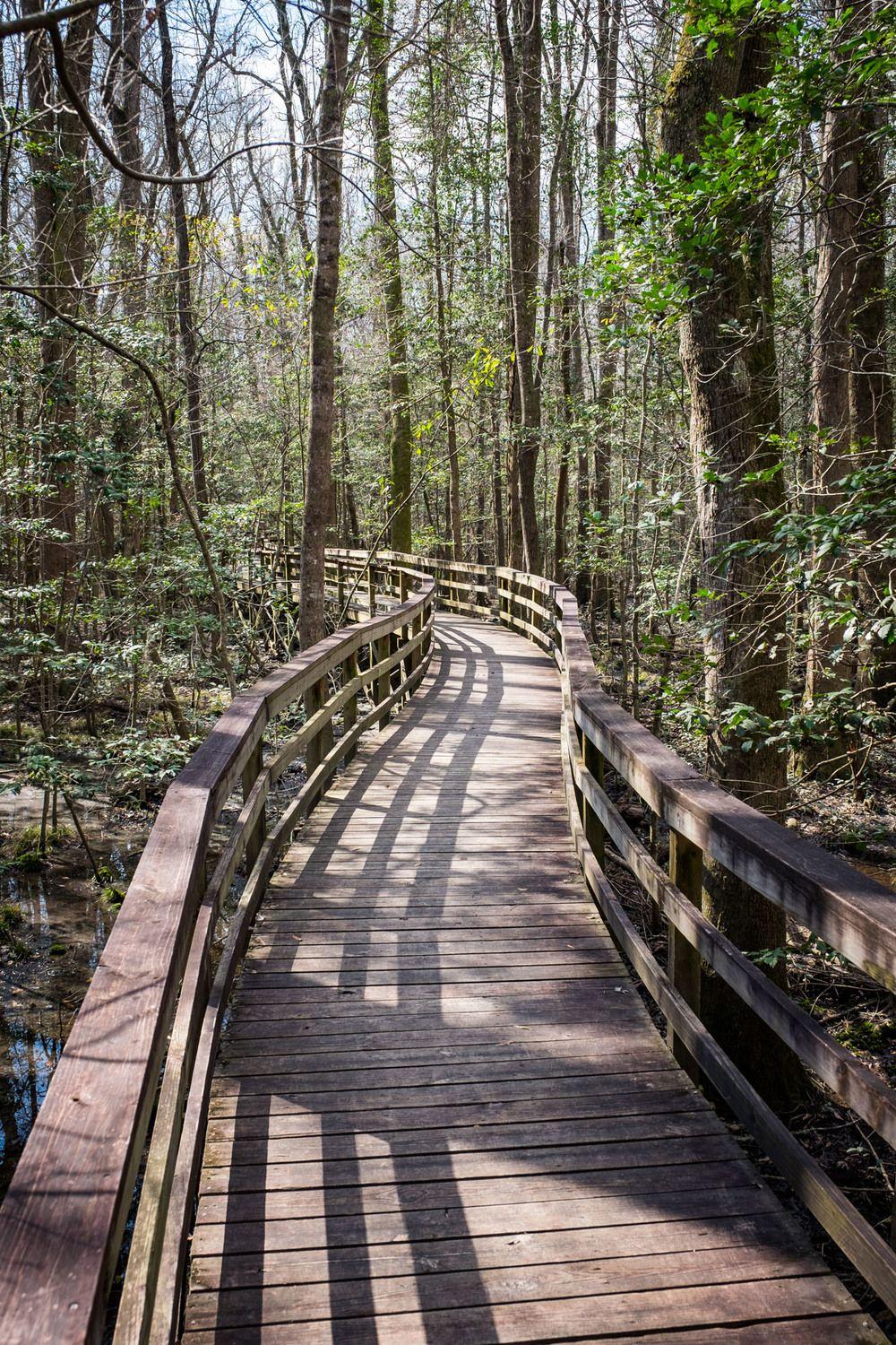 Congaree National Park