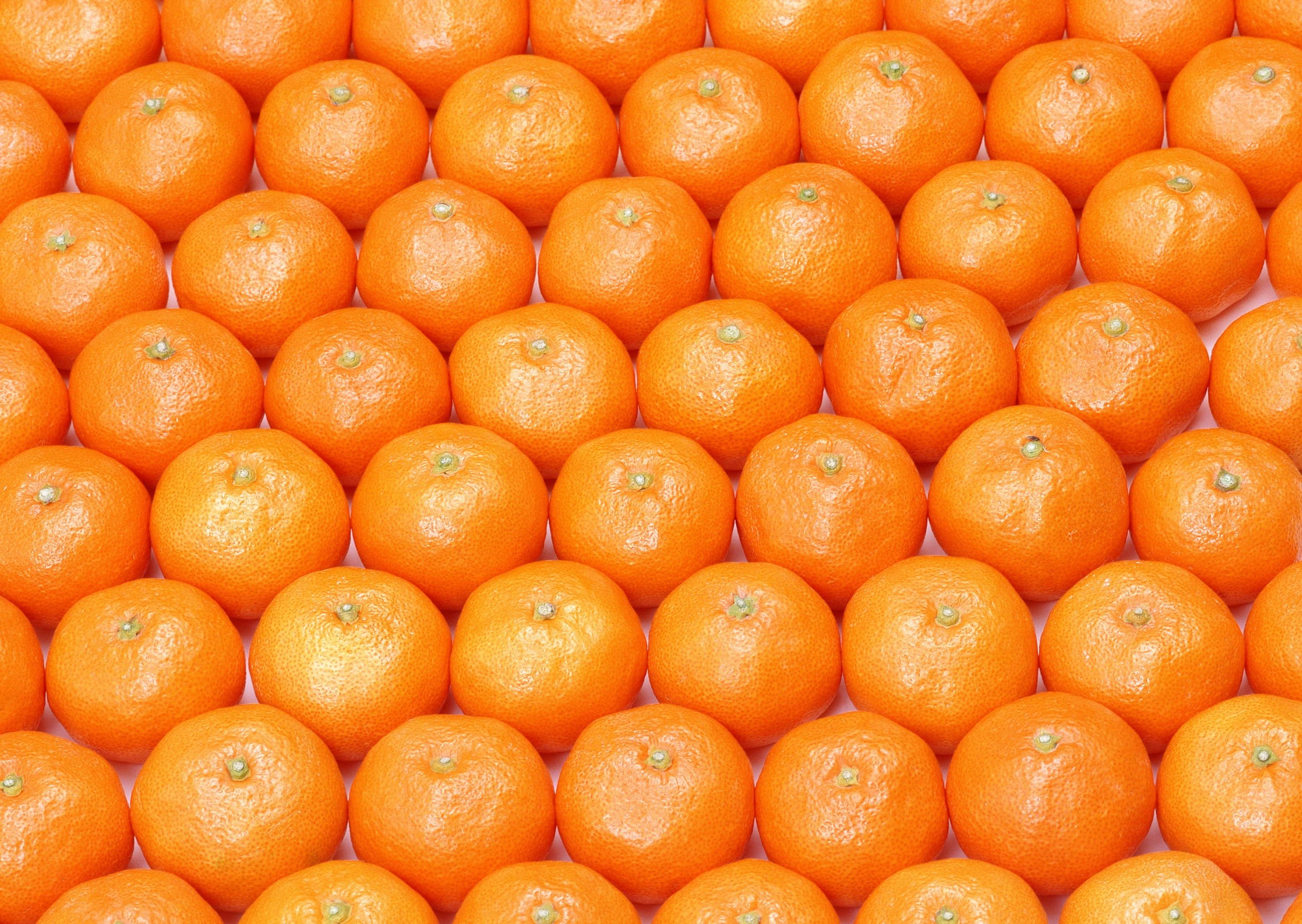 Wallpaper, food, fruit, tangerine, citrus, Clementine, produce
