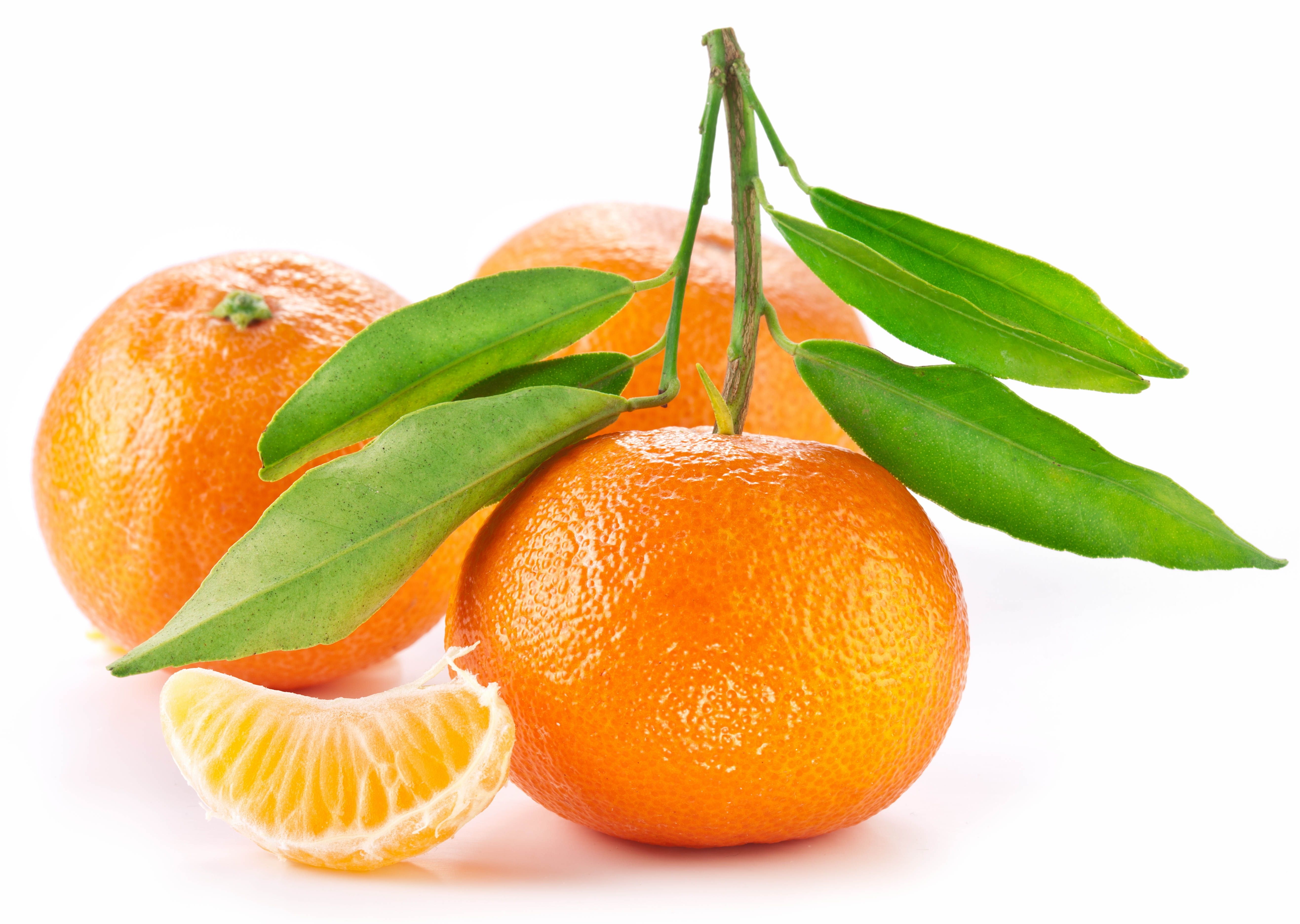 Wallpaper, food, white background, fruit, tangerine, citrus