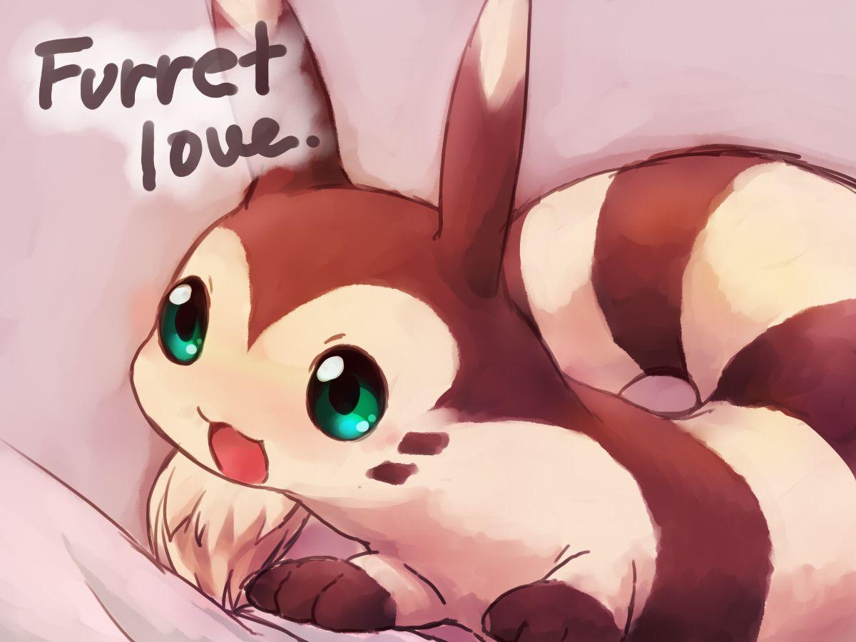 Furret Is Love, Furret Is Life. Pokémon