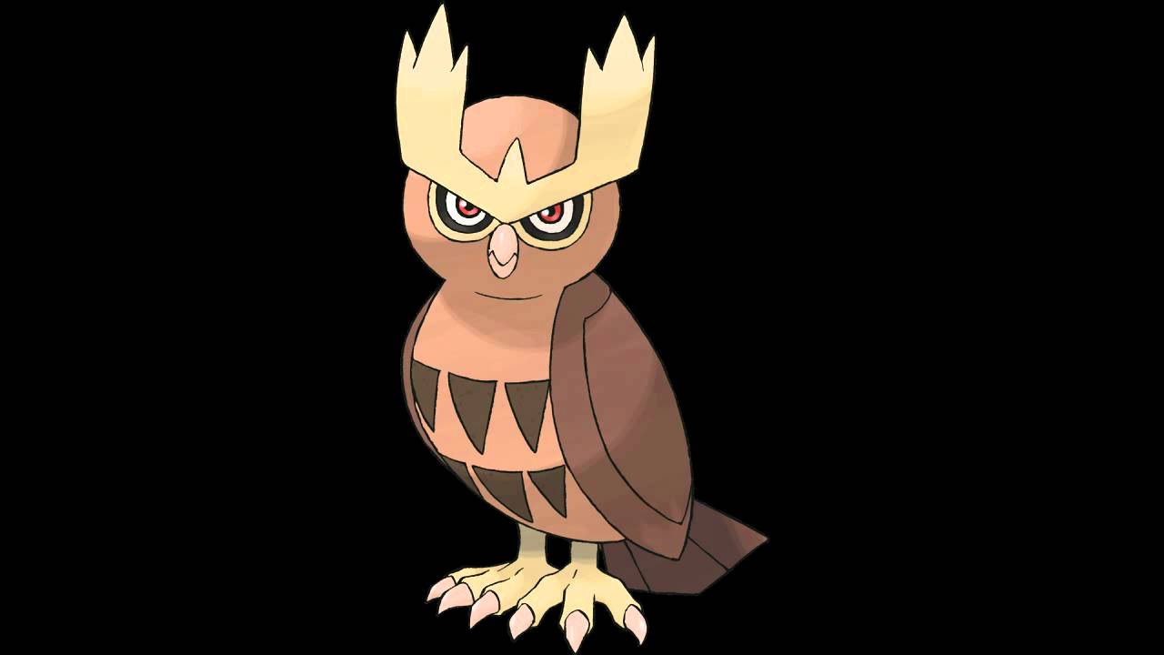 Noctowl Cry