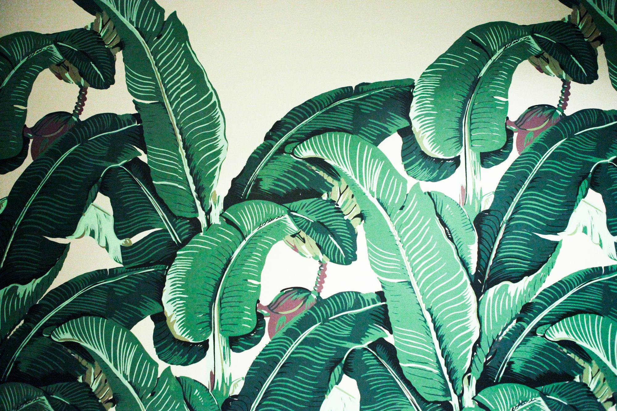 Blue Palm Frond Wallpaper Wallpaper Blog