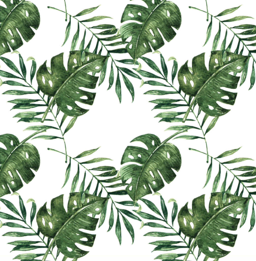 Palm Leaf Wallpaper (Self Adhesive)