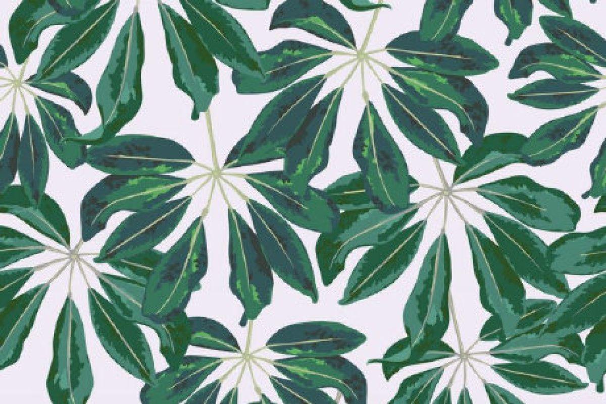 Beloved Palm Print Wallpaper Can Be Yours, Too