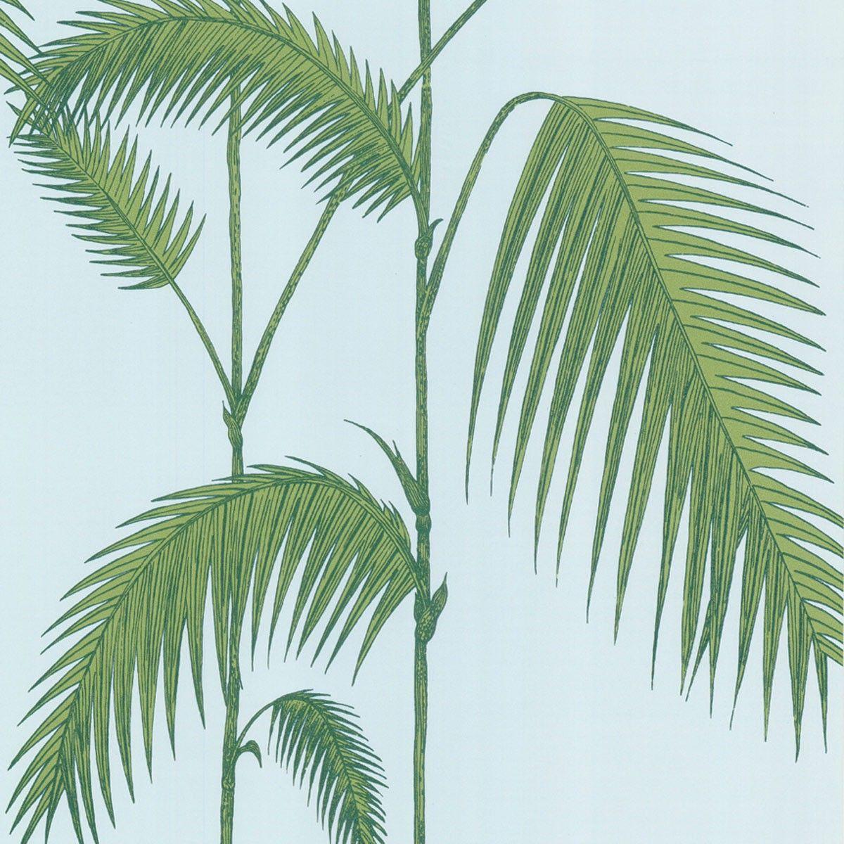 Palm Leaves Wallpaper