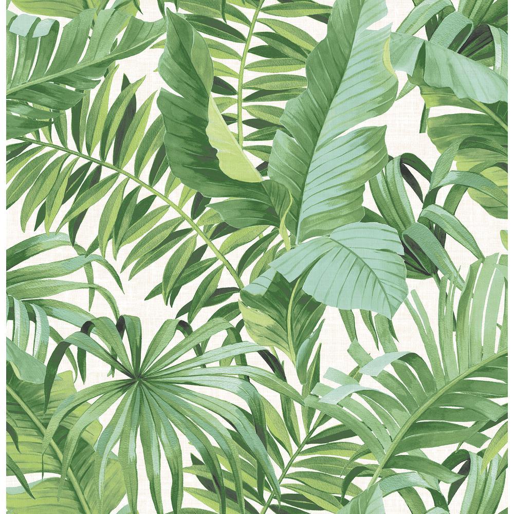 A Street Alfresco Green Palm Leaf Wallpaper Sample 2744 24136SAM