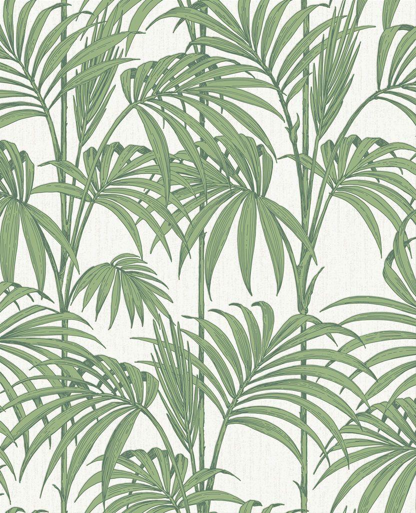 Honolulu Palm Green Wallpaper. Palm & Tropical Leaf Wallpaper