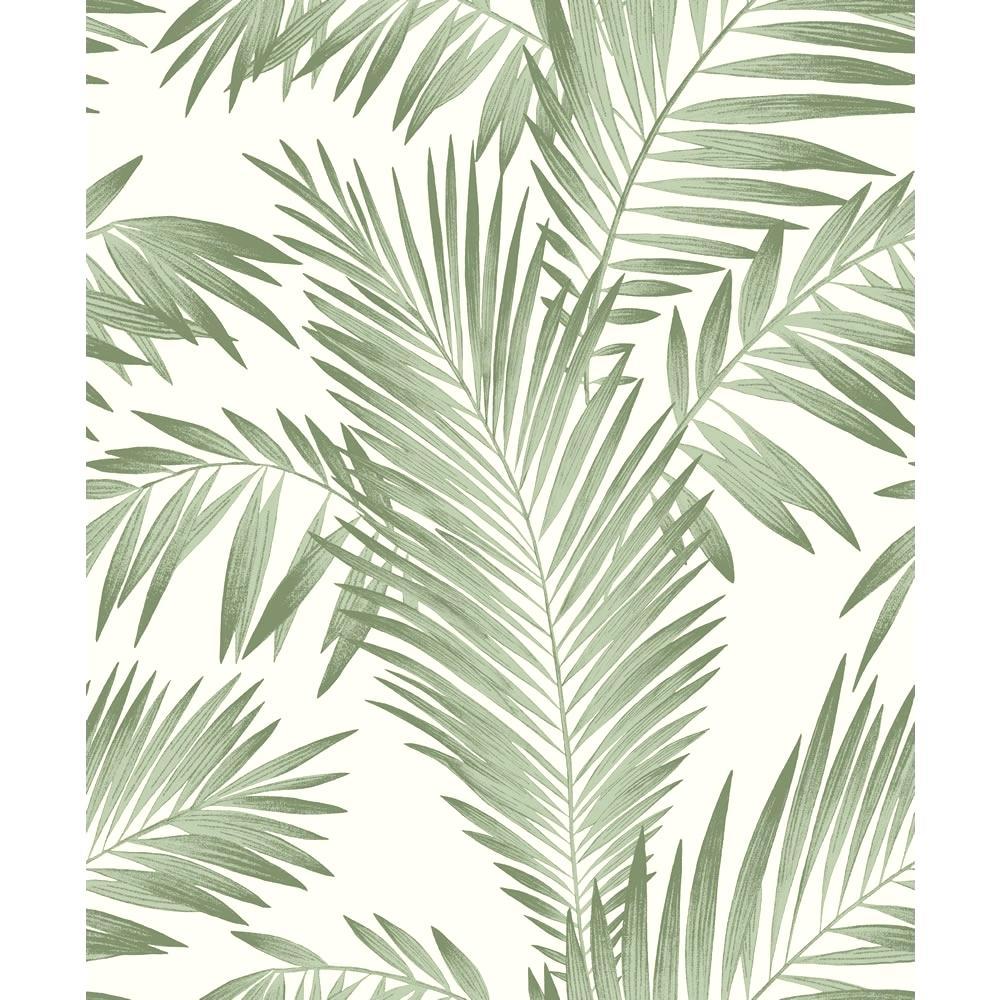 Palm Leaves Wallpaper Leaf Background I 1 4 2 Wallpaper