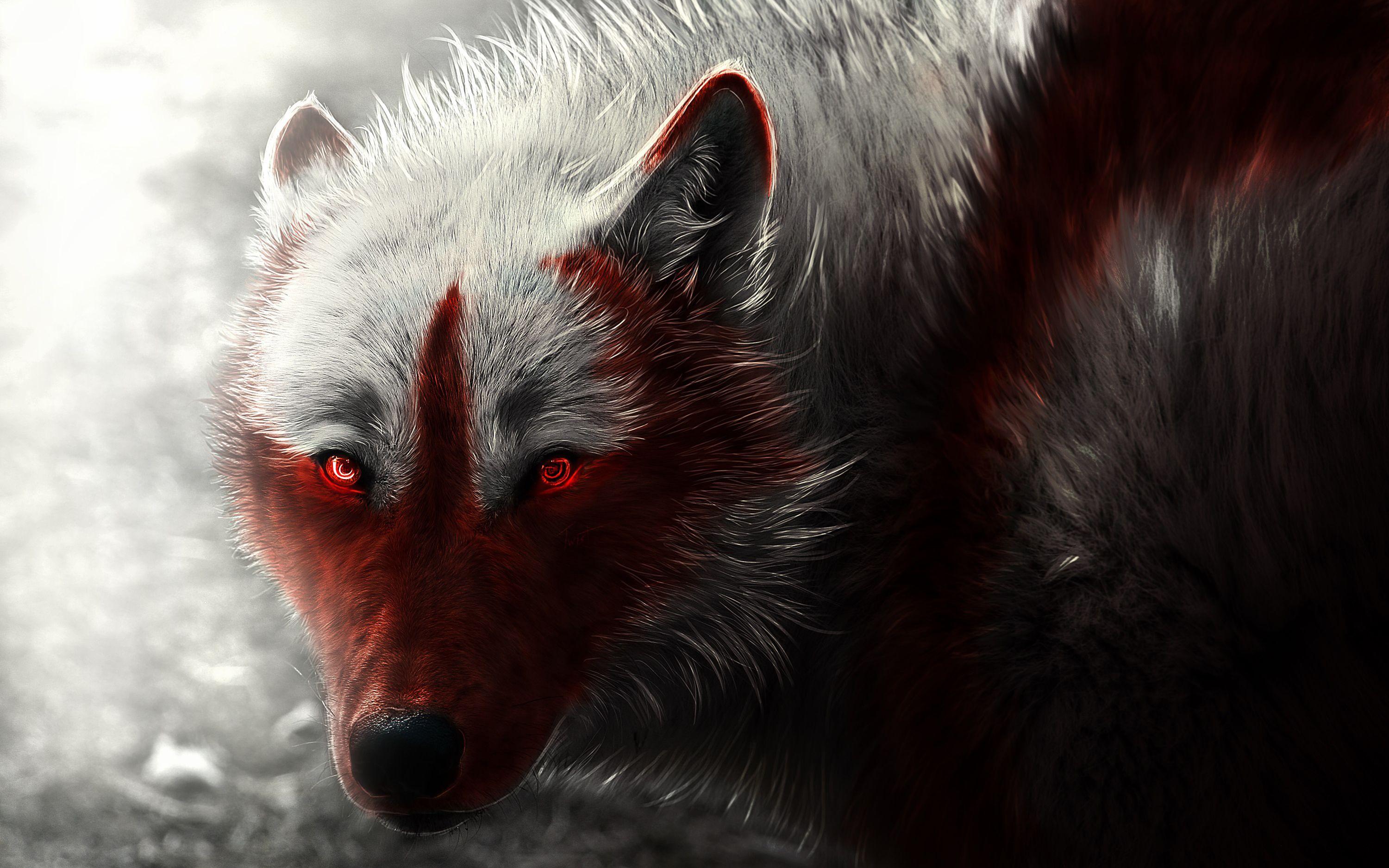 Scary Wolf Wallpaper