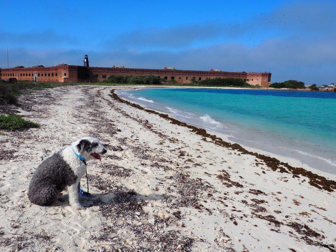Dry Tortugas National Park: A Fortress In the Sea. We Are Travel