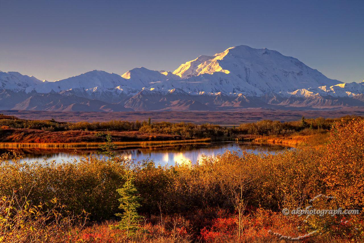 Denali National Park a lot of time there in, took