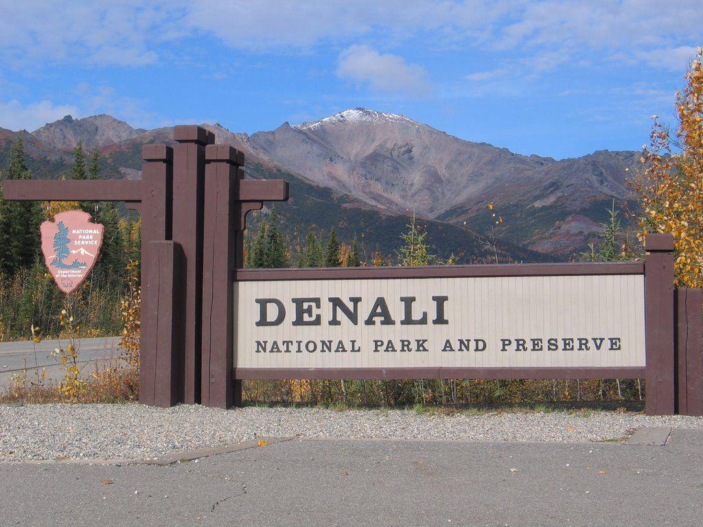 Denali national park