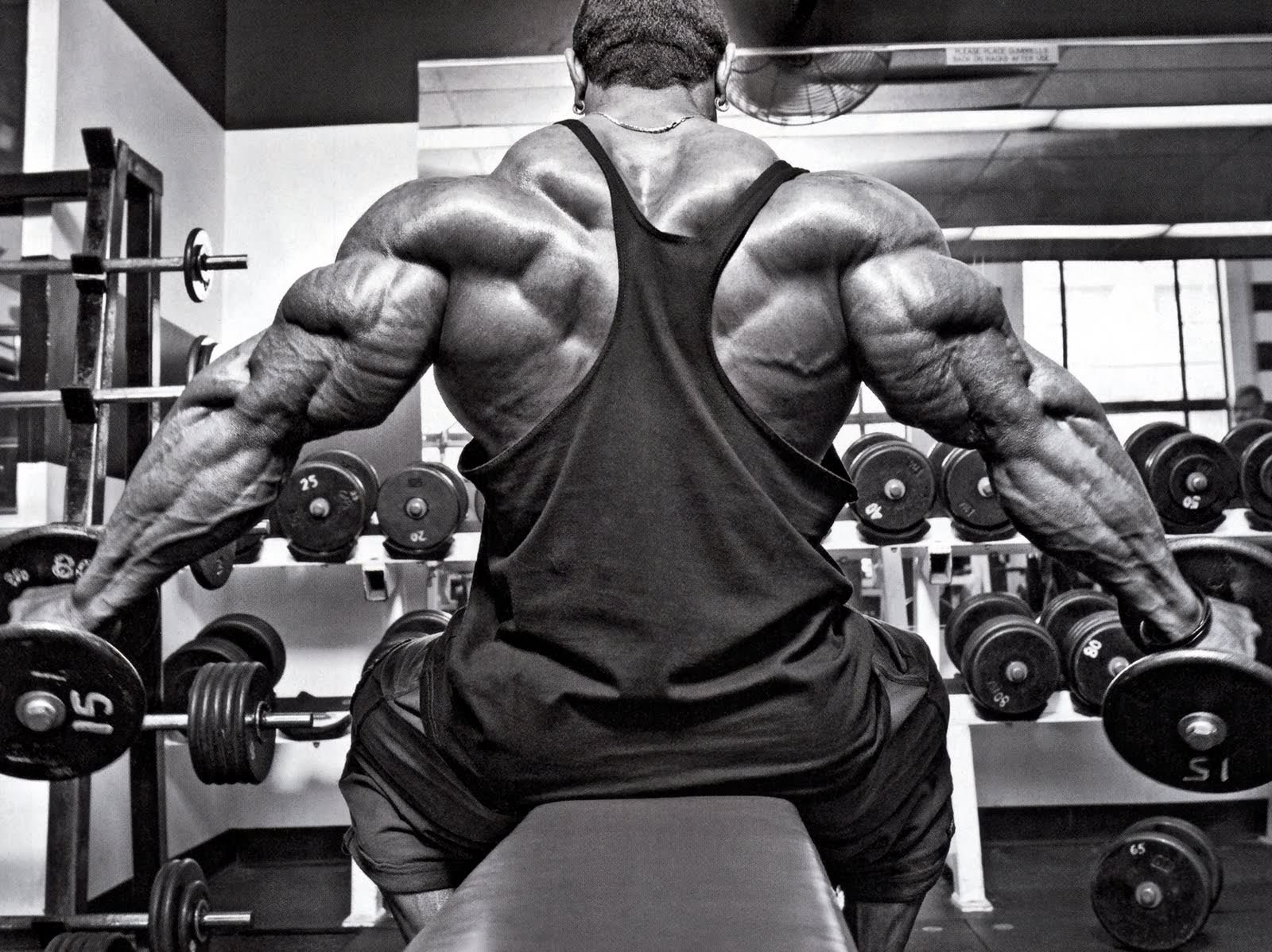 Bodybuilding Wallpaper, Awesome Bodybuilding Picture
