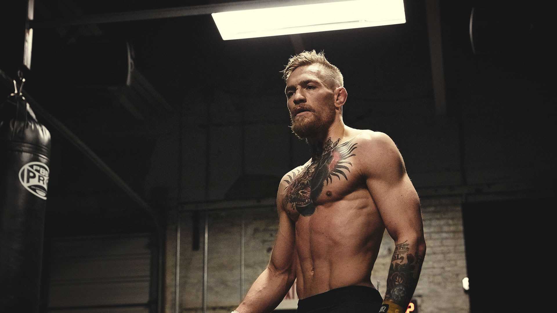 Conor Mcgregor HD In High Quality And Full Wallpaper For Desktop