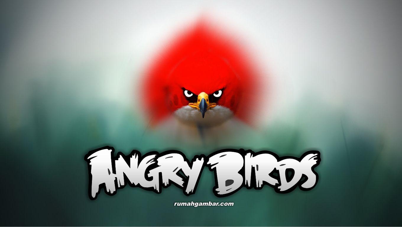 Angry Birds Movie Characters iPhone + HD Wallpaper / iPod 1920