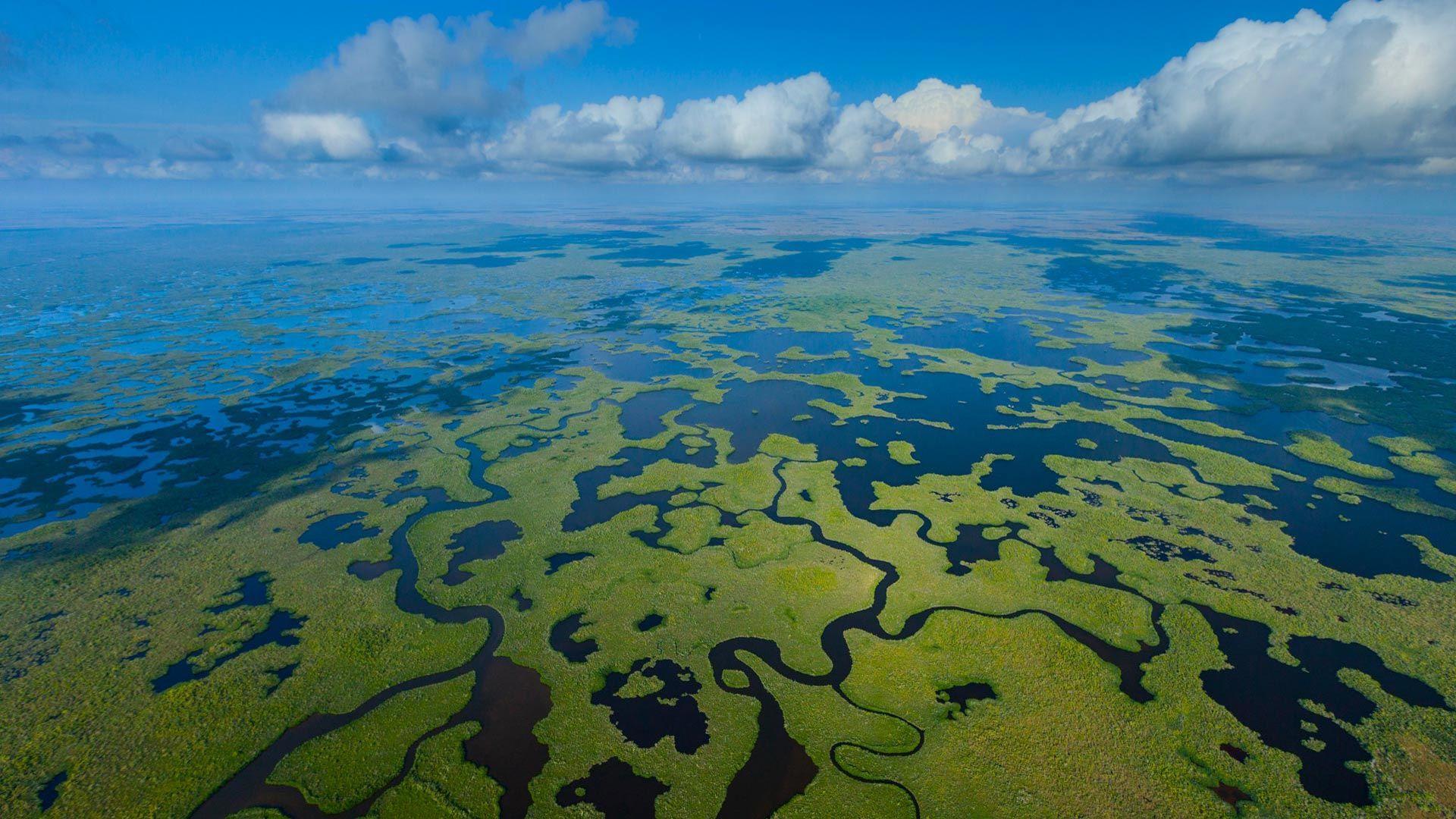 Aerial view, Everglades National Park, Florida, USA. Windows 10