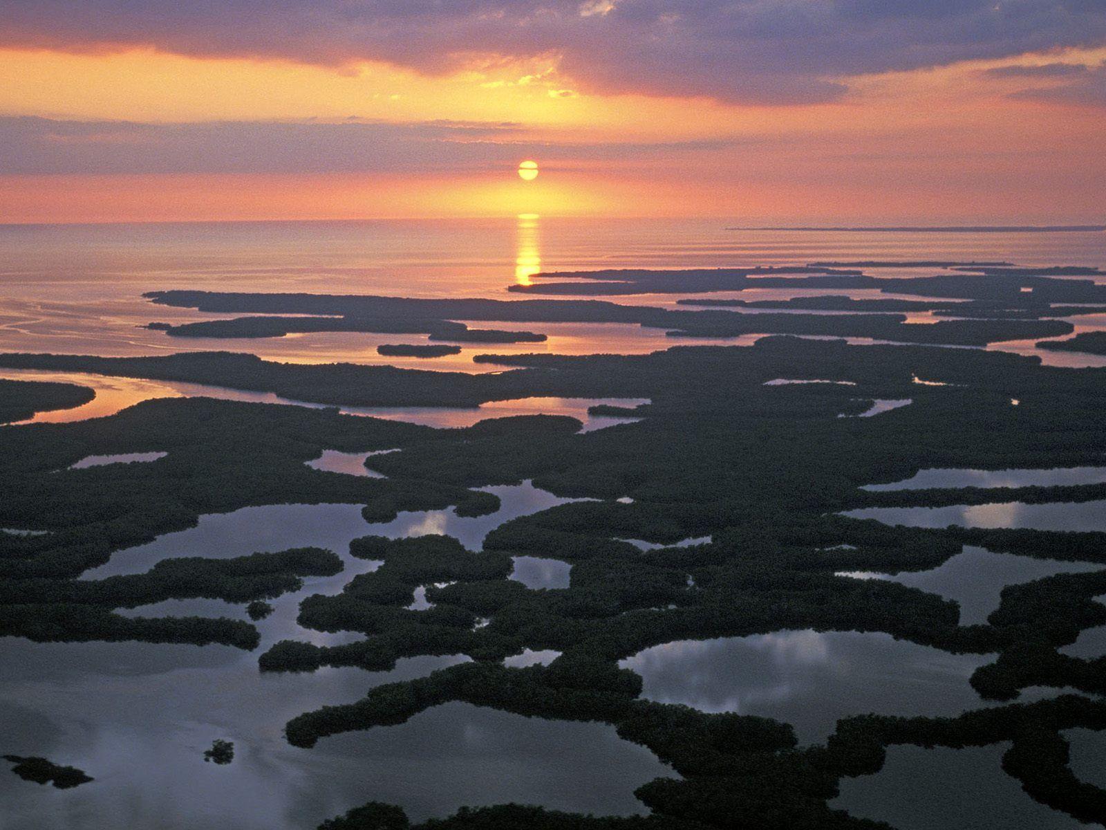 Ten Thousand Islands, Mangroves, Everglades National Park, Florida