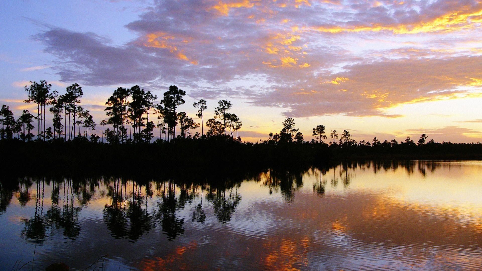 Download Background National Park at Sunset, Florida