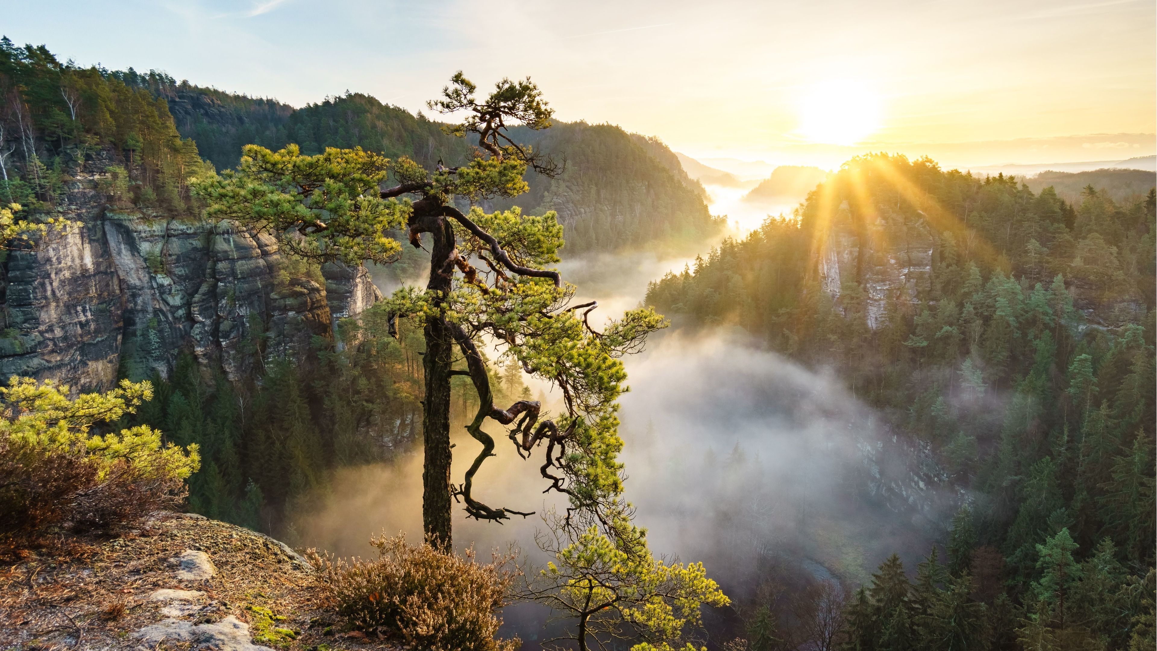 Laptop Nature Windows 10 Wallpaper 4K / Nature mountain forest