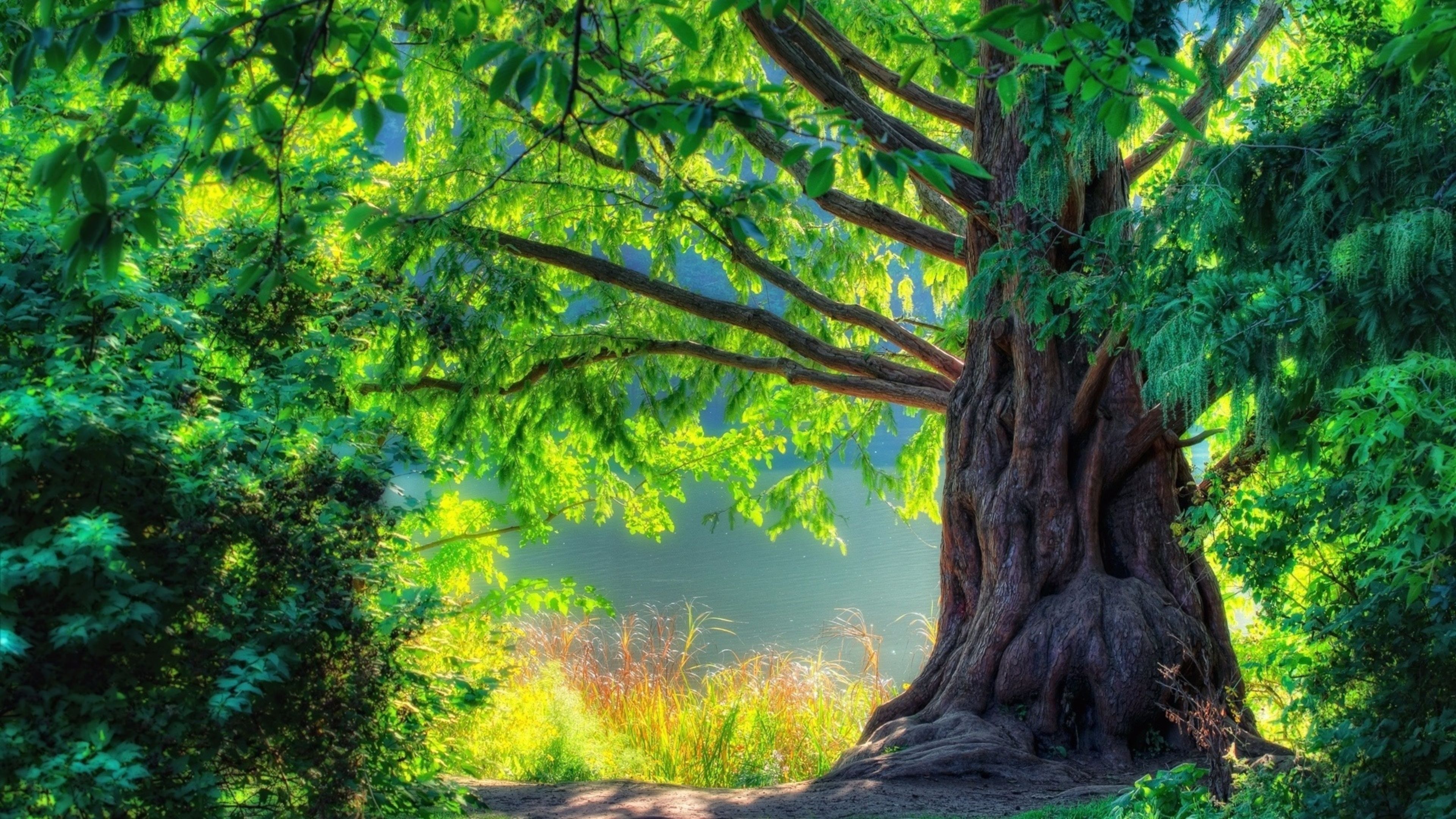 Nature 4K Wallpapers Wallpaper Cave Nature 4K Wallpapers Wallpaper Cave