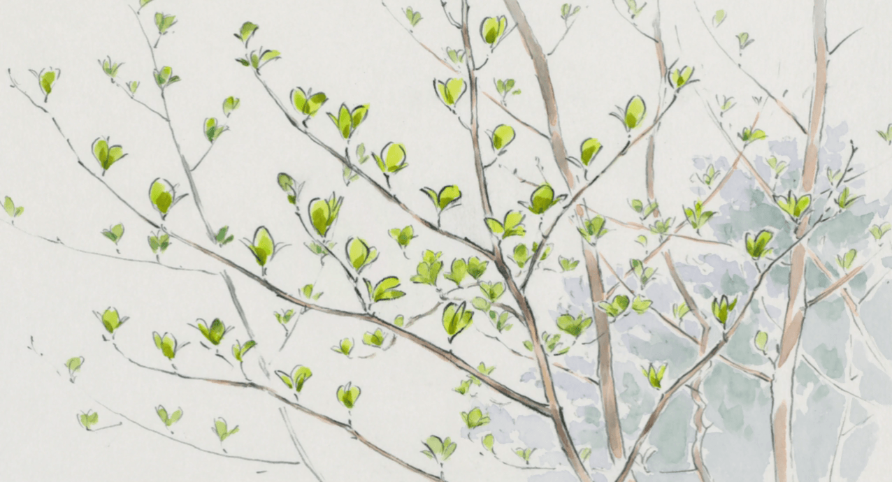 from the Tale of Princess Kaguya. art