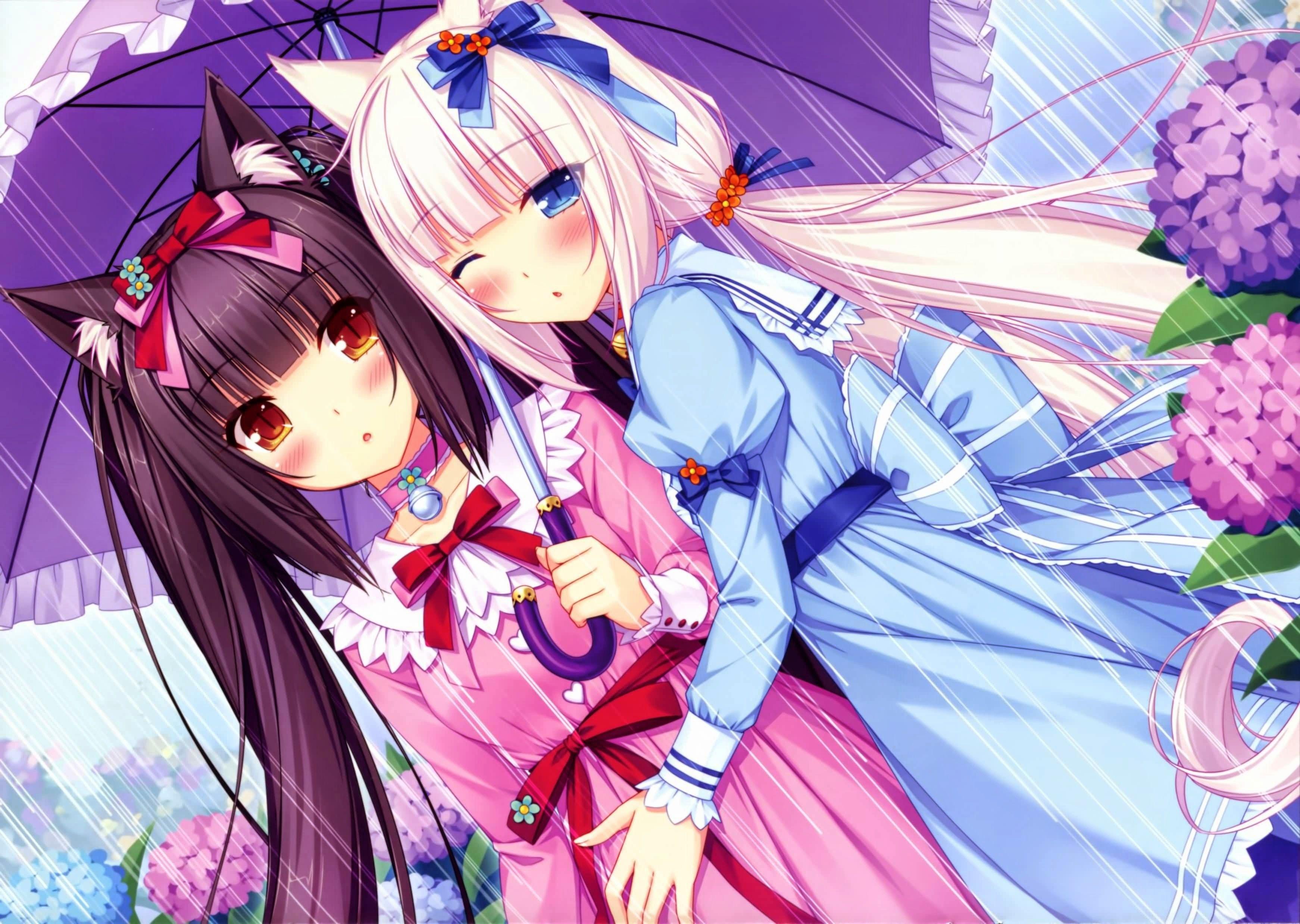 Two girlfriends under umbrella Anime Neko Para wallpaper