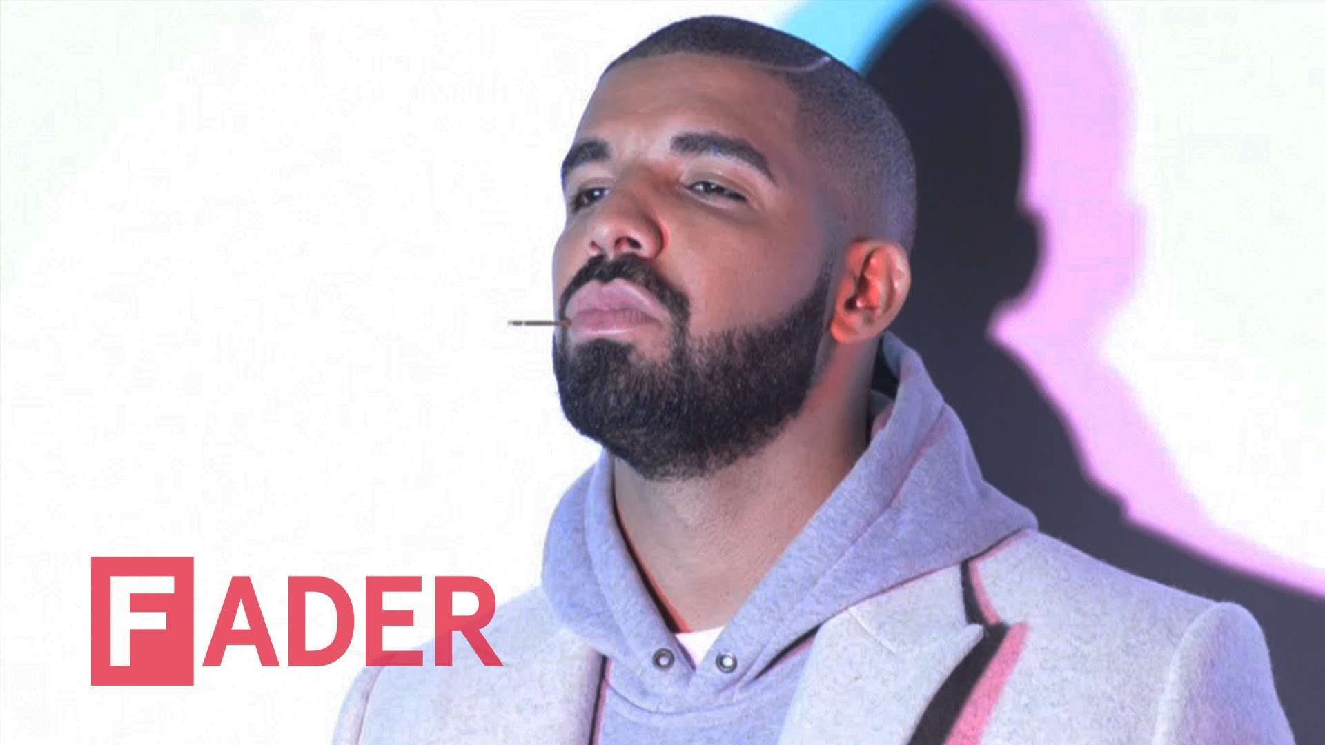 Drake Wallpaper and Picture
