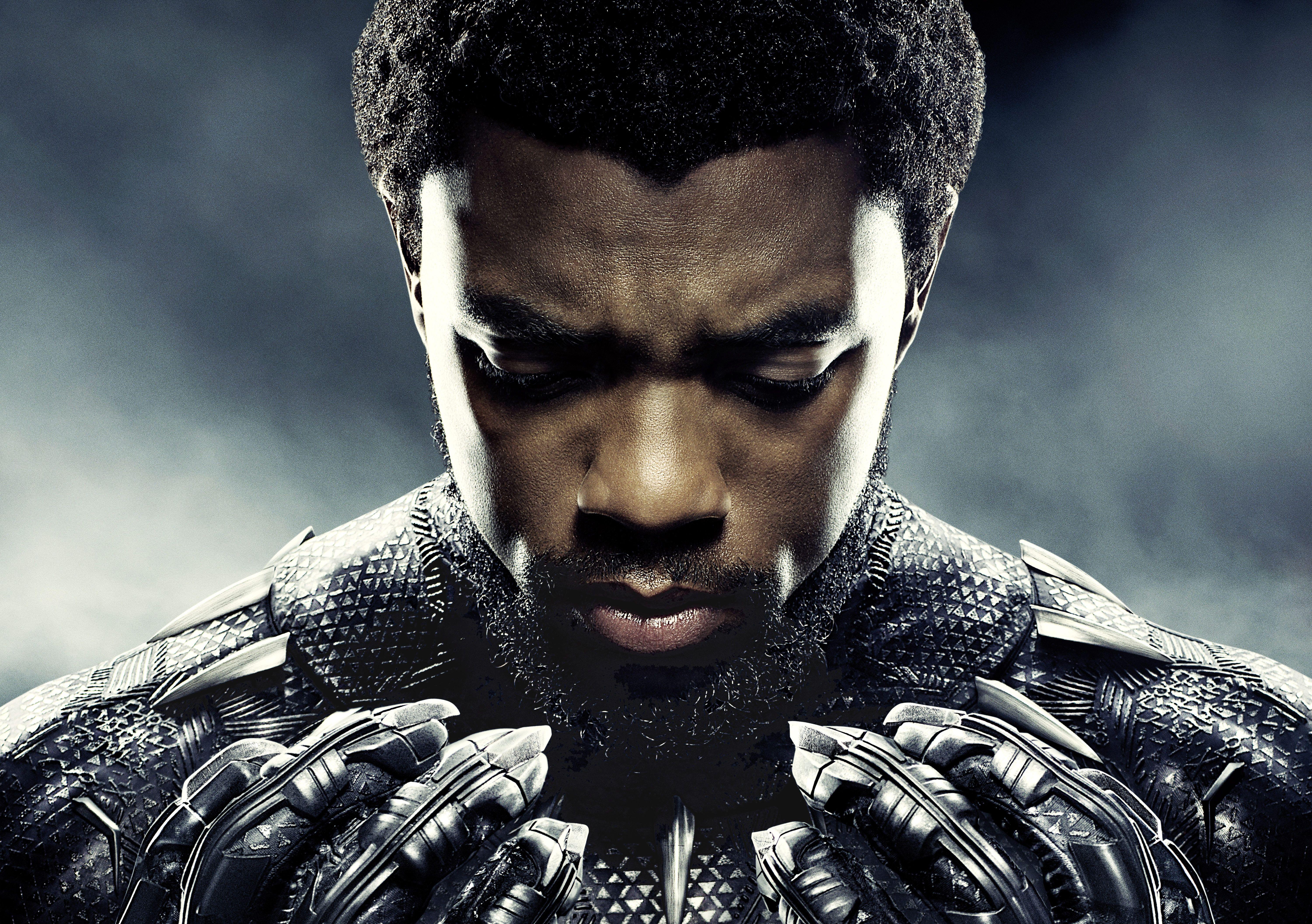 Chadwick Boseman As Black Panther 5k, HD Movies, 4k Wallpapers.