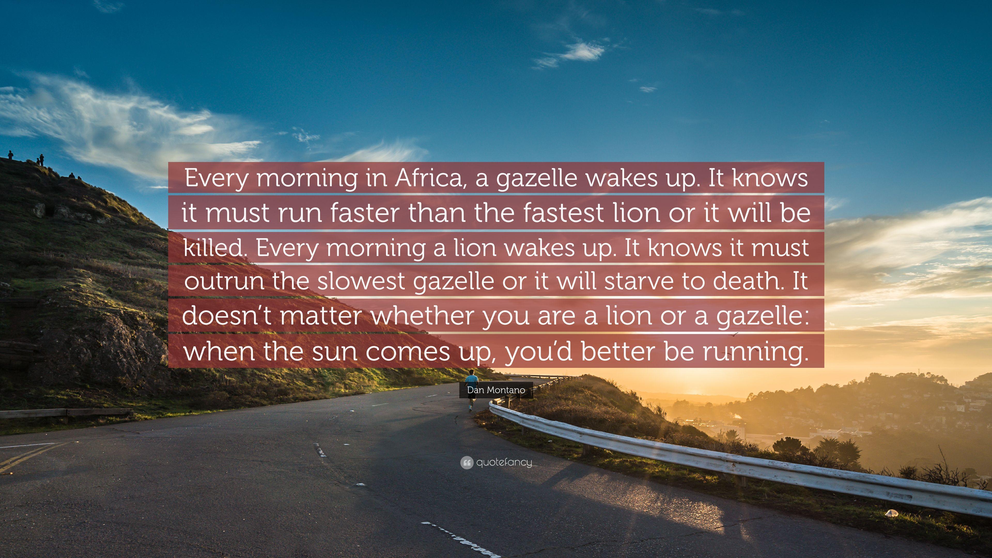 Dan Montano Quote: “Every morning in Africa, a gazelle wakes up