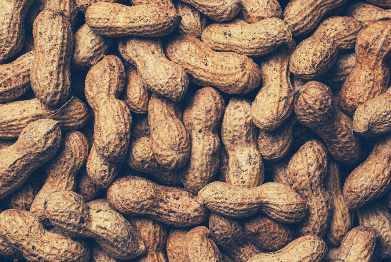 groundnut-wallpapers-wallpaper-cave
