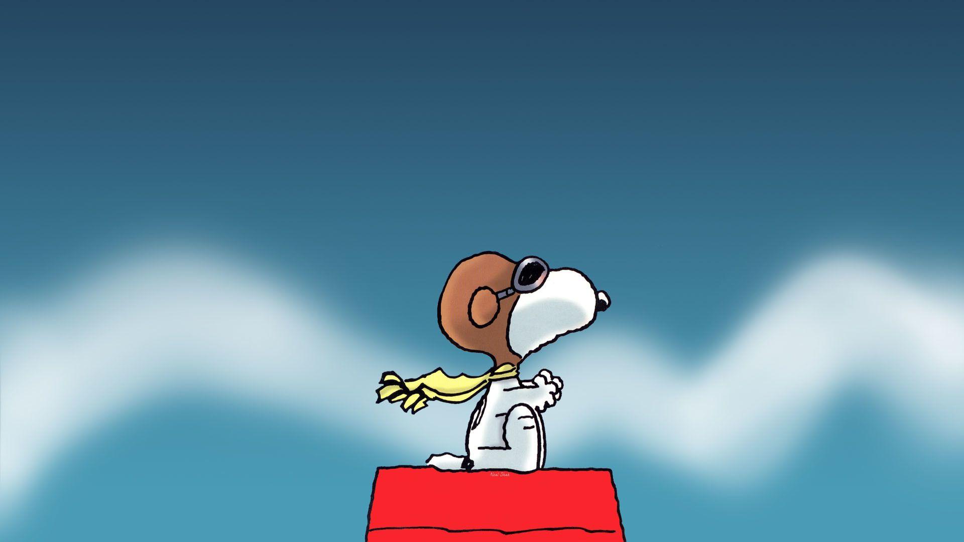 50 Snoopy HD Wallpapers and Backgrounds