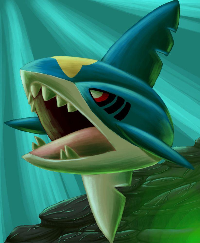 Sharpedo HD Wallpapers Wallpaper Cave
