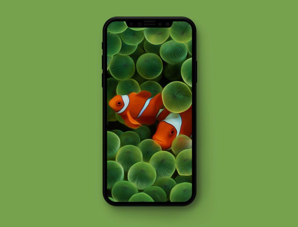 Original Apple wallpaper optimized for iPhone X