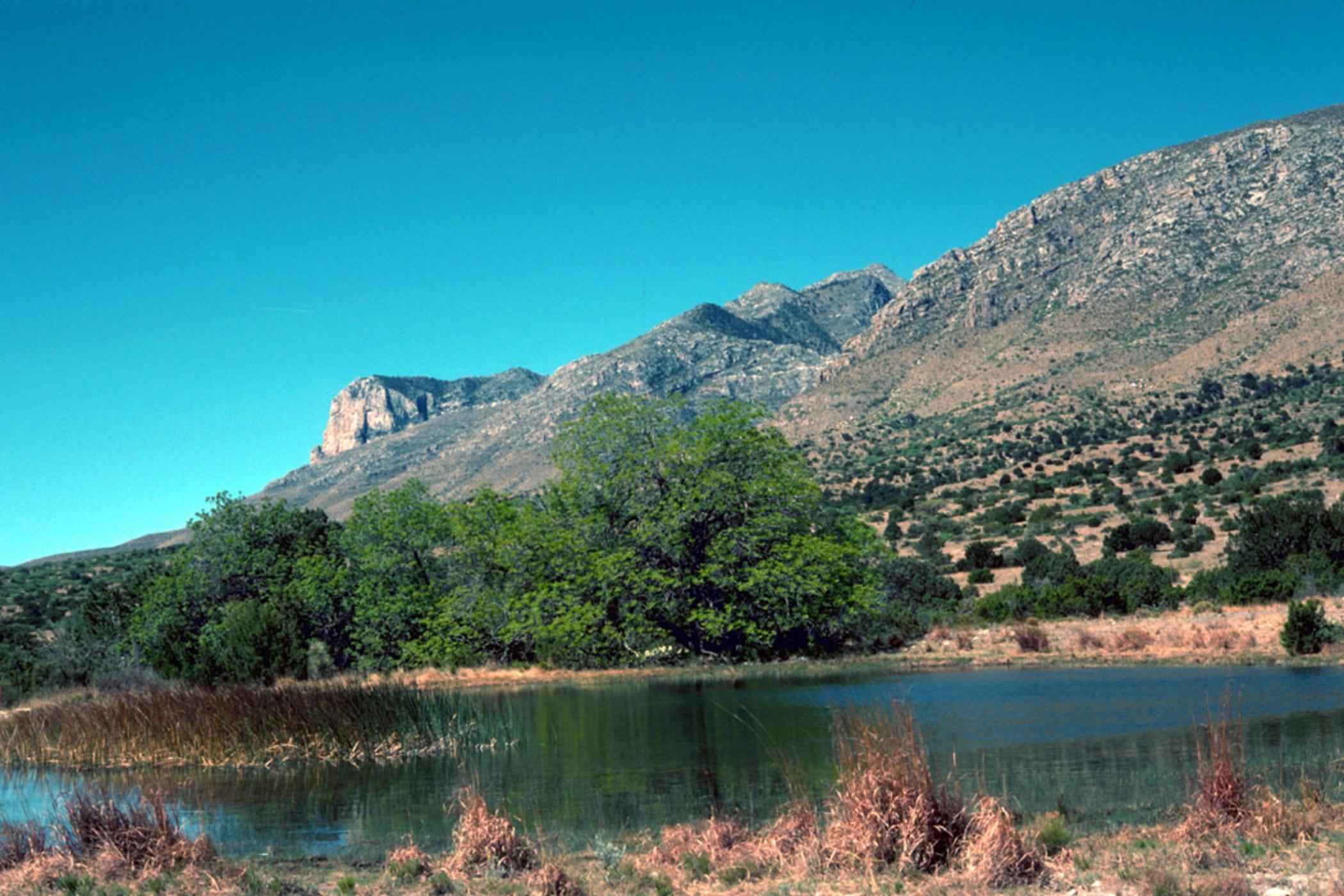 Guadalupe mountains national