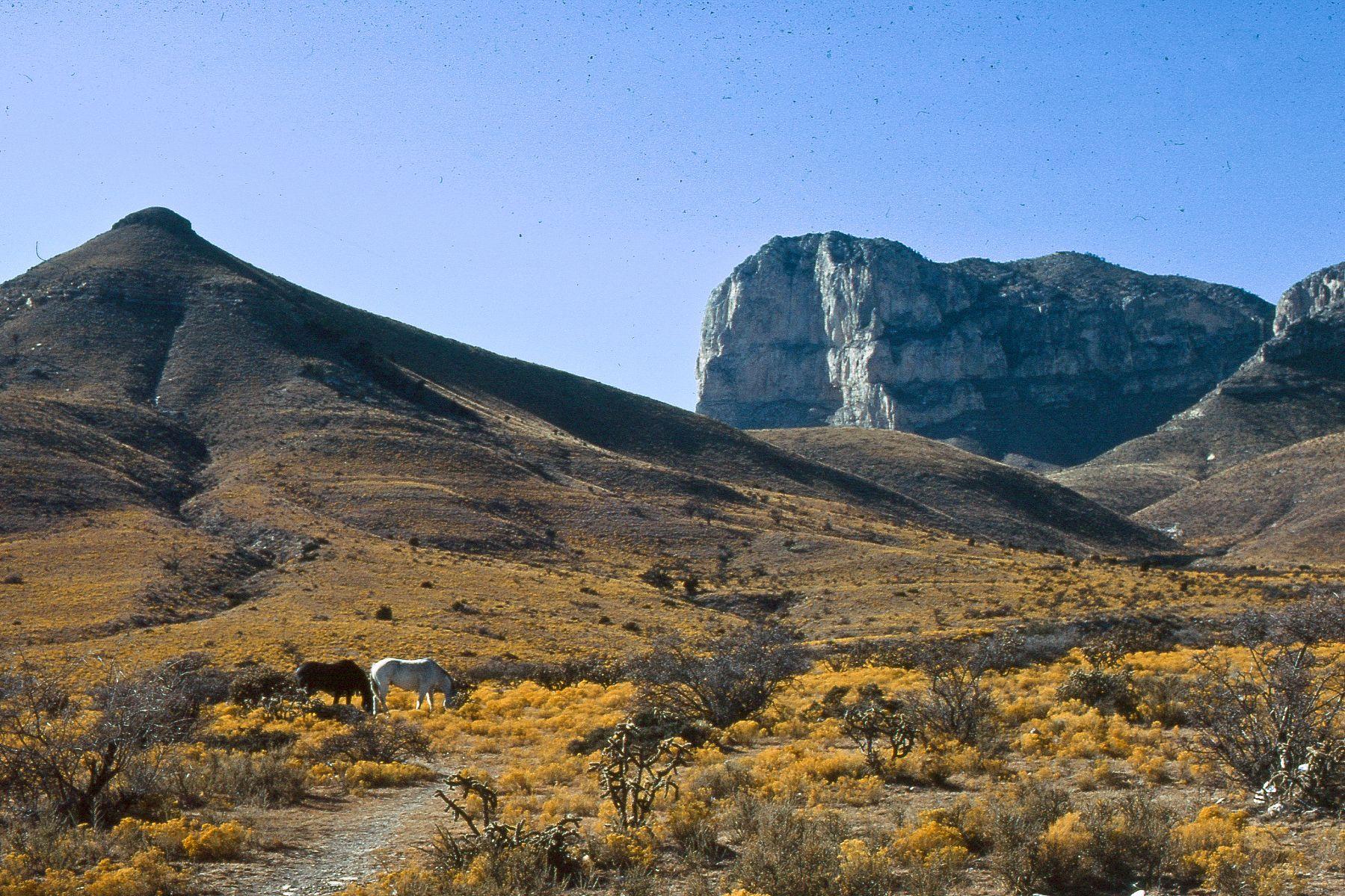 Guadalupe Mountains National Park Park in Texas