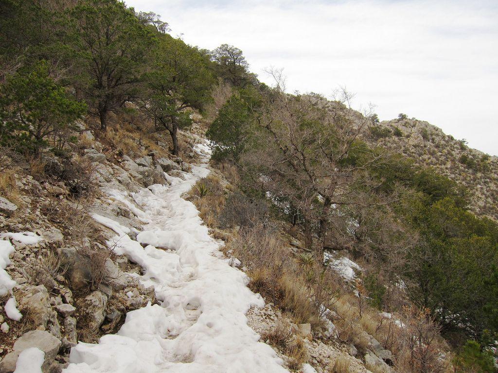 Snow on Guadalupe Mountains National Park Guadalupe Peak T
