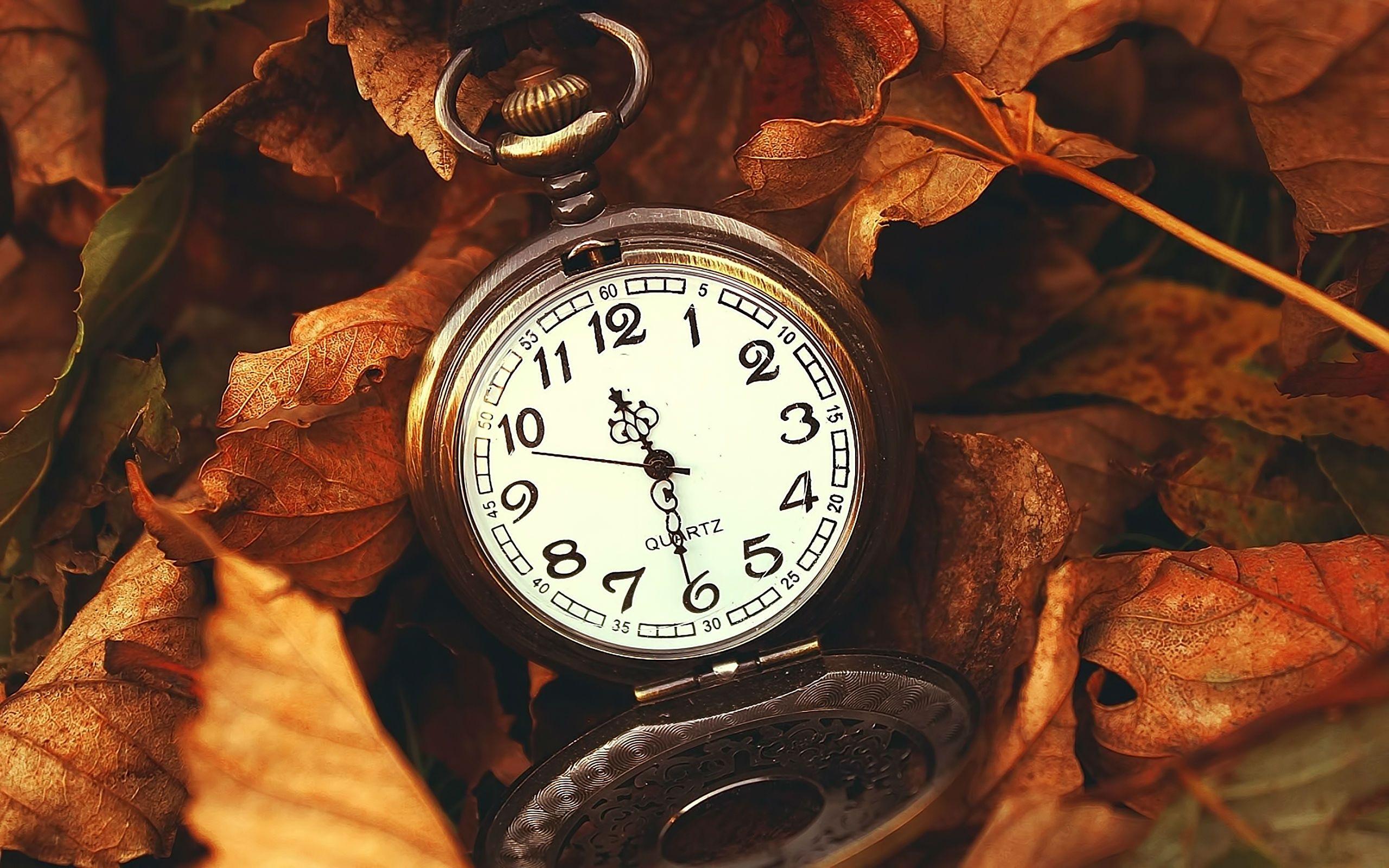 Old Pocket Watch Wallpaper Background 49503 2560x1600px