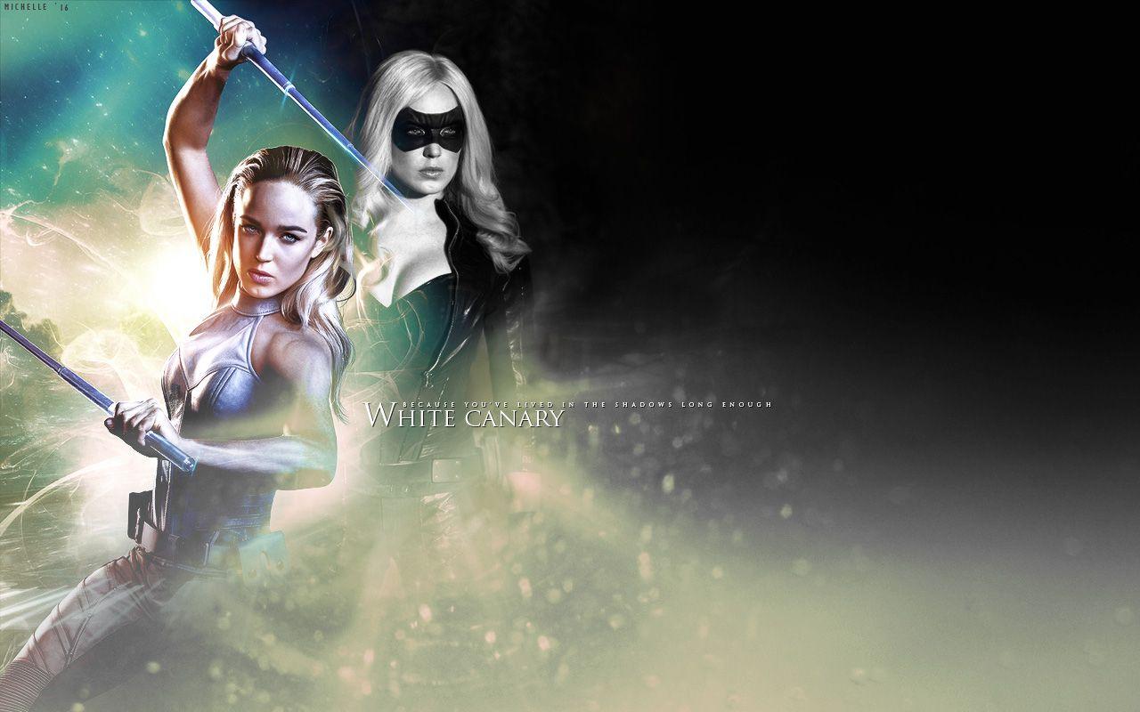 White Canary Wallpapers Wallpaper Cave