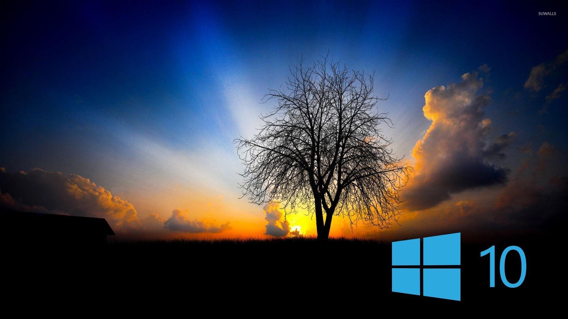 400+ Stunning Windows 10 Wallpapers HD Image Collection