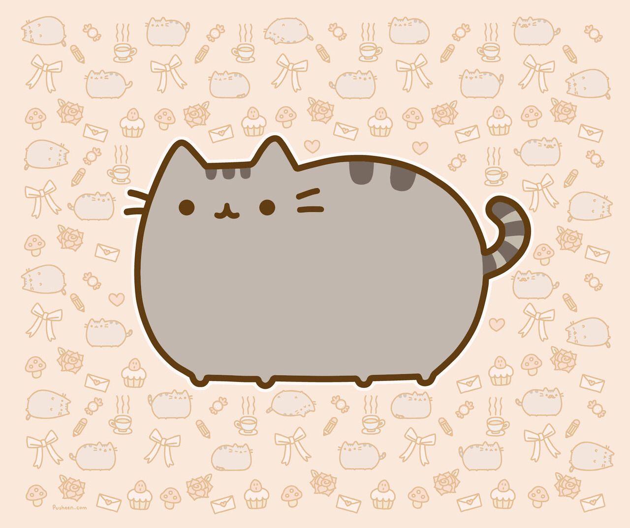 Pusheen The Cat HD Wallpapers Wallpaper Cave Pusheen The Cat HD Wallpapers Wallpaper Cave