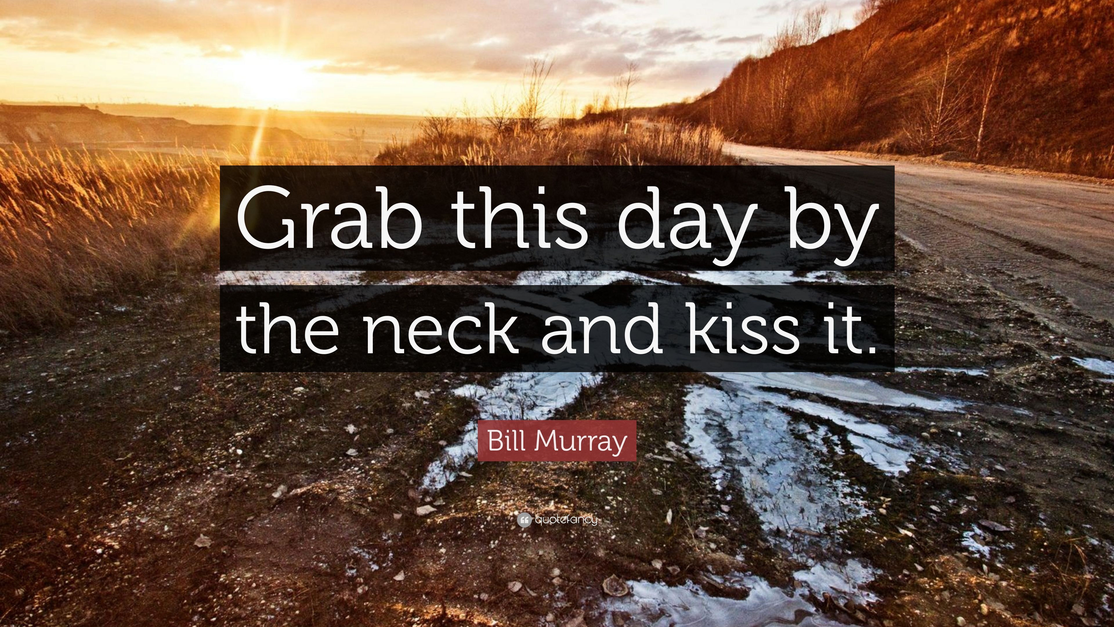 Bill Murray Quote: “Grab this day by the neck and kiss it.” 7
