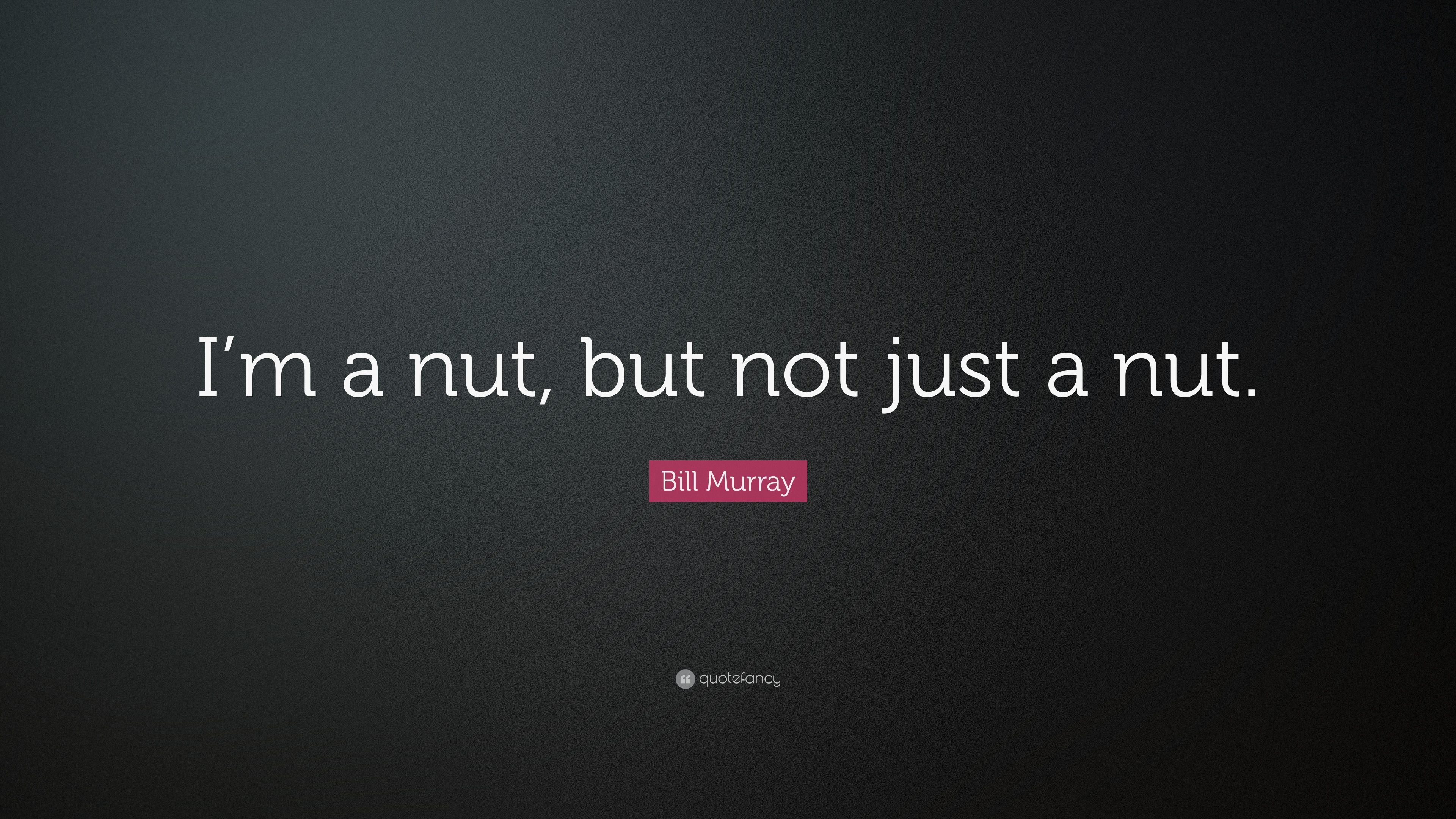 Bill Murray Quote: “I'm a nut, but not just a nut.” 12 wallpaper