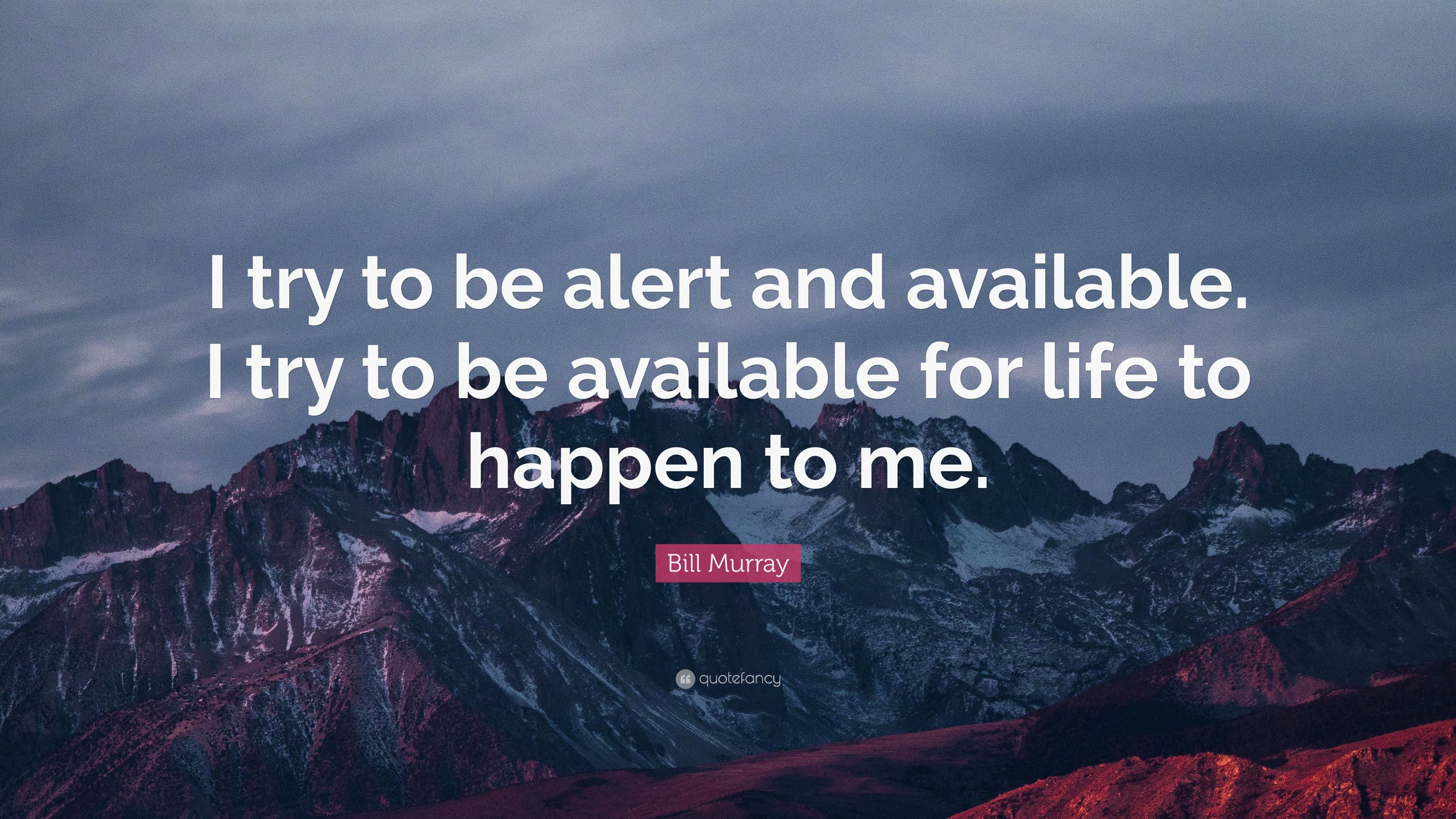 Bill Murray Quote: “I try to be alert and available. I try to be