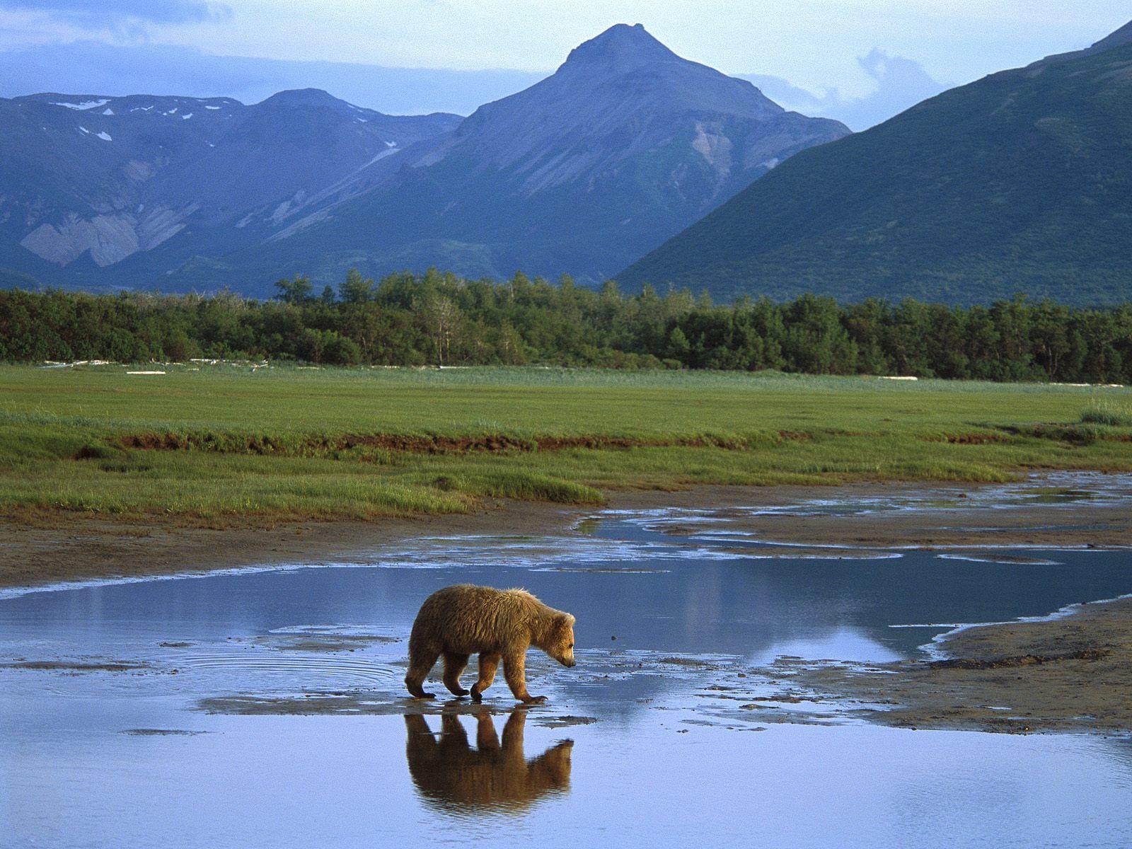 Katmai National Park, Alaska. This park on the Alaska Peninsula