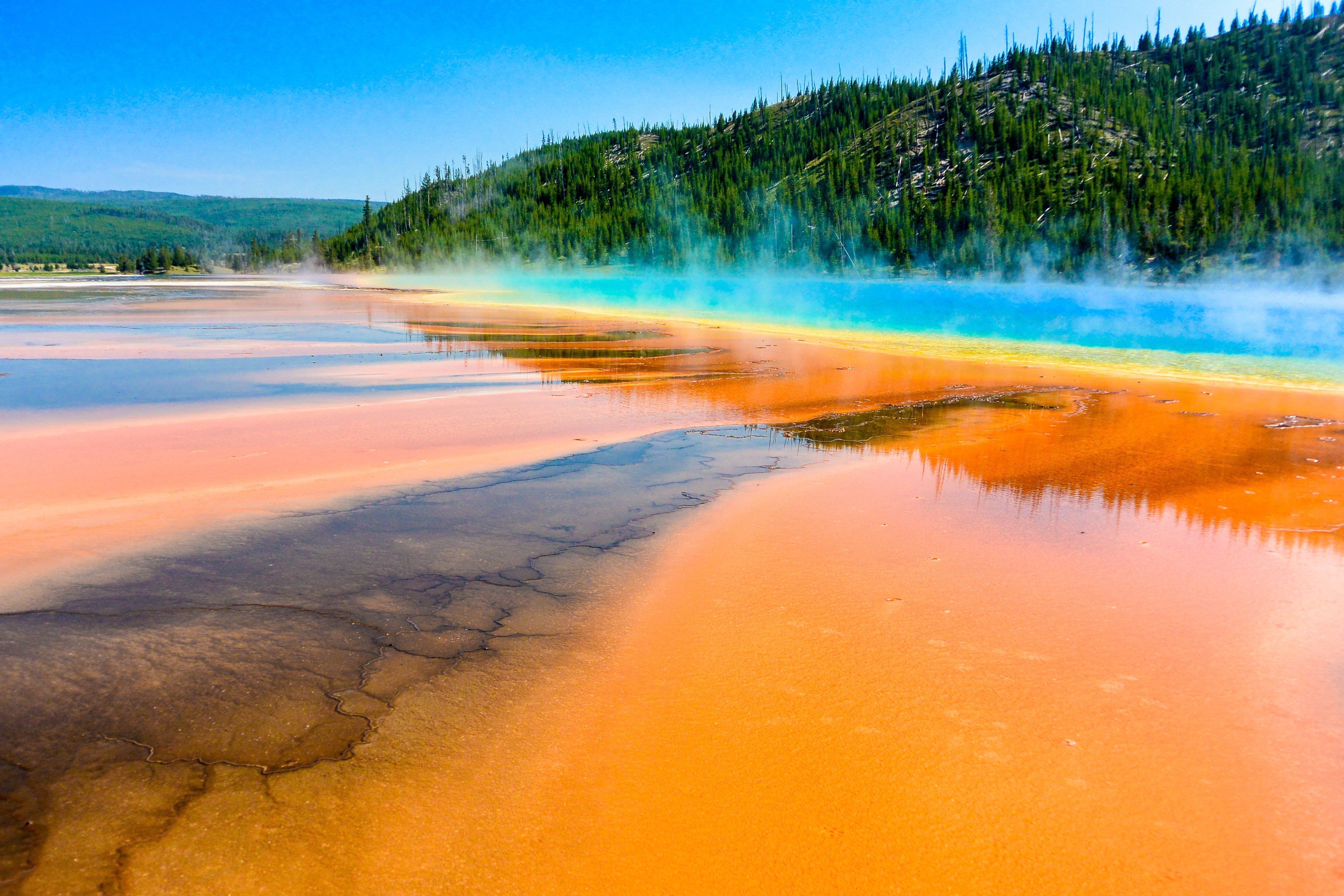 Hot Spring sky trees Yellowstone National Park Grand Prismatic