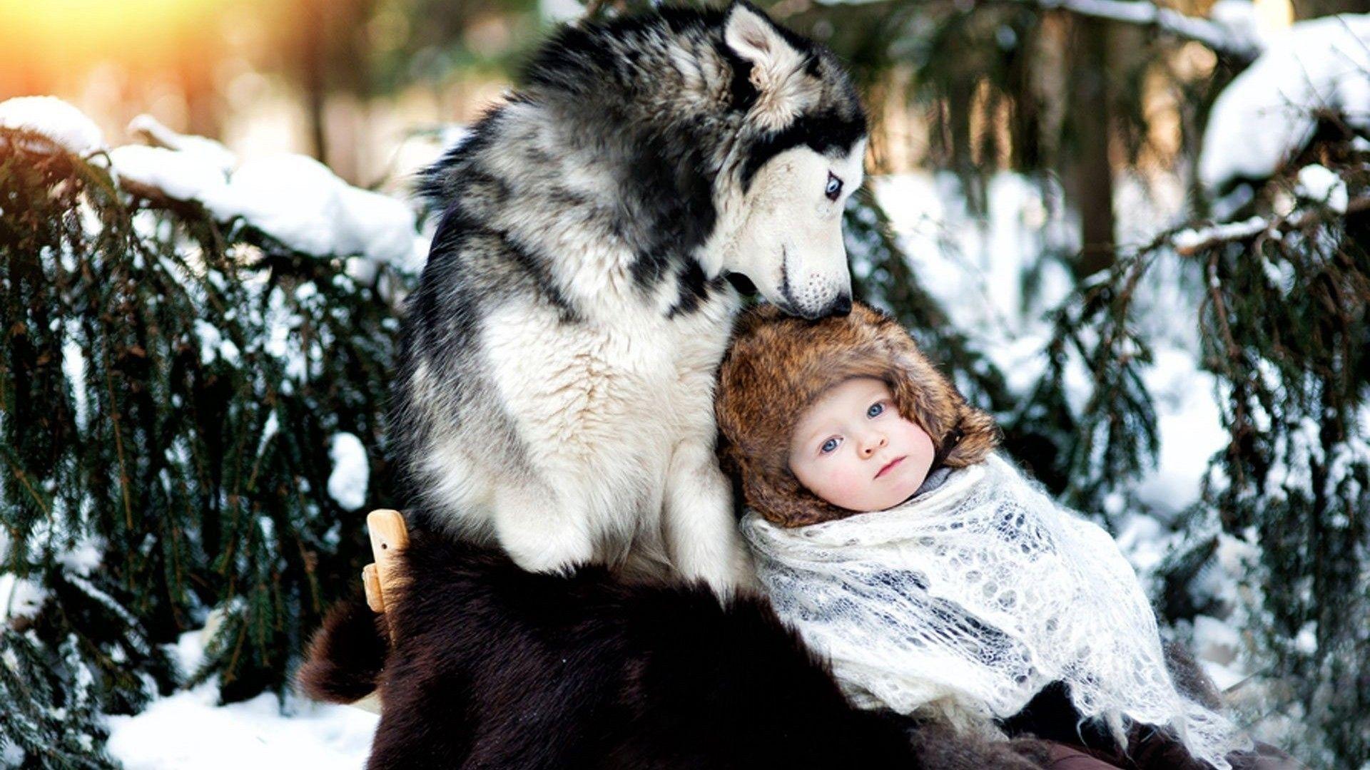 Download Wallpaper 1920x1080 Dog, Husky, Baby, Care, Forest, Snow