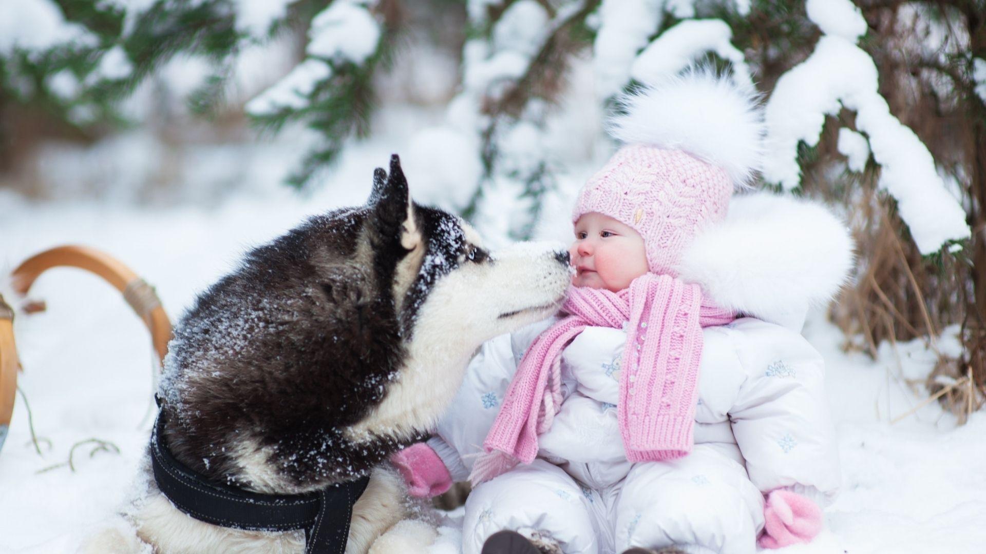 Download Wallpaper 1920x1080 Husky, Dog, Child, Snow, Winter