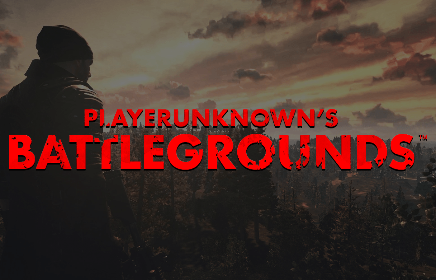 Playerunknown's Battlegrounds wallpaper, Video Game, HQ